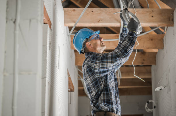 Best Electric Panel Repair  in Stowell, TX